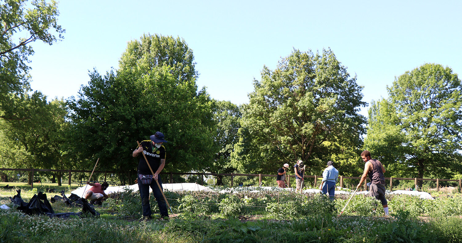 Group farmers